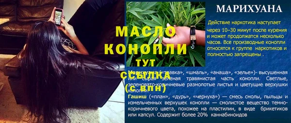 тгк Щигры