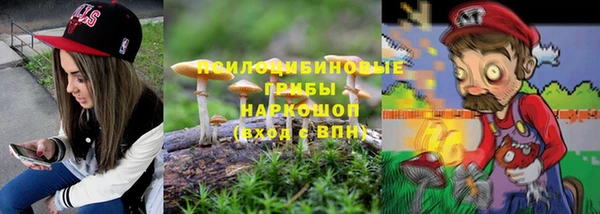 мет Щучье