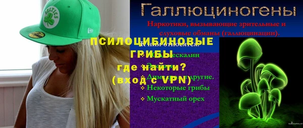 тгк Щигры